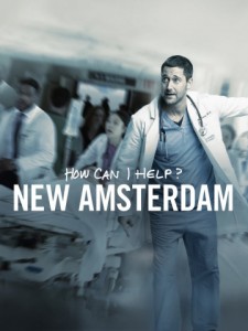 Новый Амстердам (1 сезон